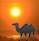 Sunny
Hot!